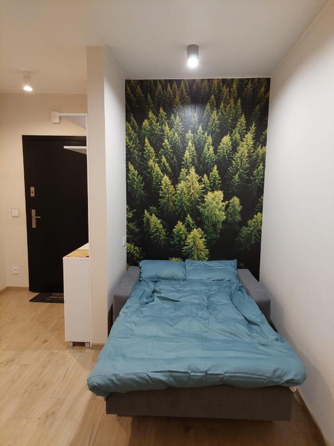 Apartament pod górą Szyndzielnia , Dębowiec Bielsko-Biala Exterior foto