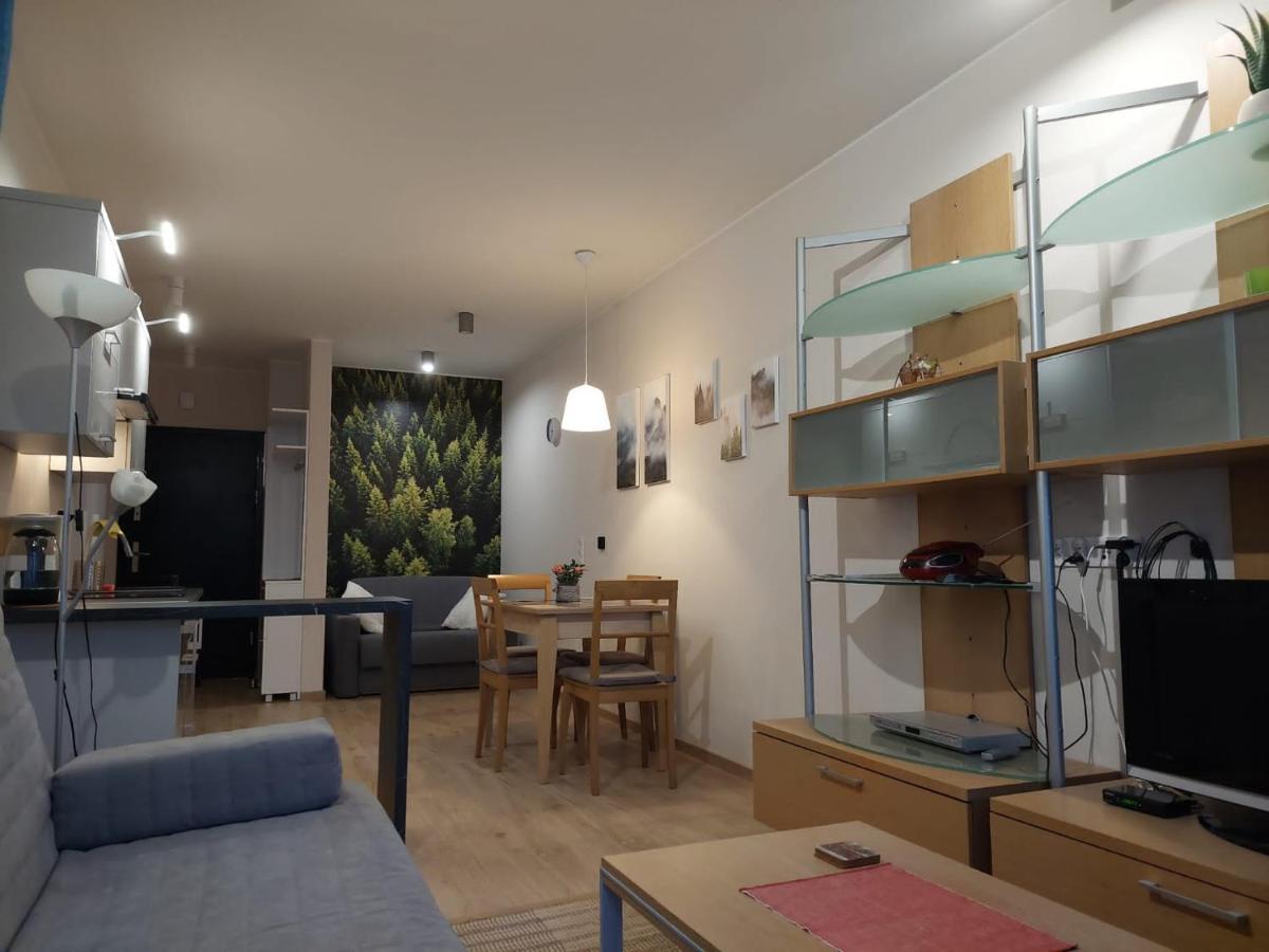 Apartament pod górą Szyndzielnia , Dębowiec Bielsko-Biala Exterior foto